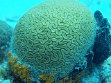 Curacao 04-12 141